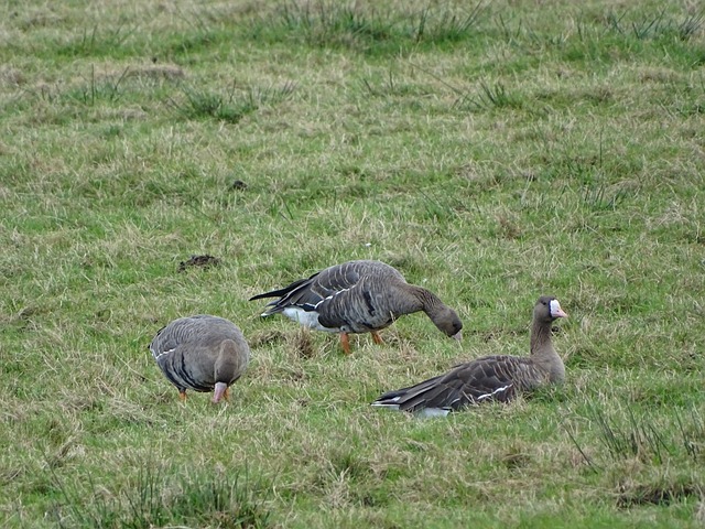 到大的成长 到大的成长