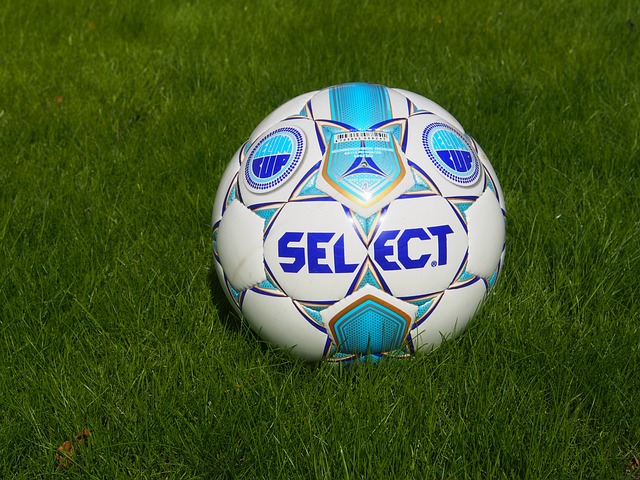 家和地区的 家和地区的