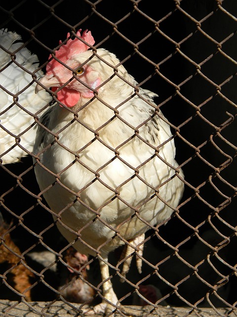 刘炜的见证 刘炜的见证