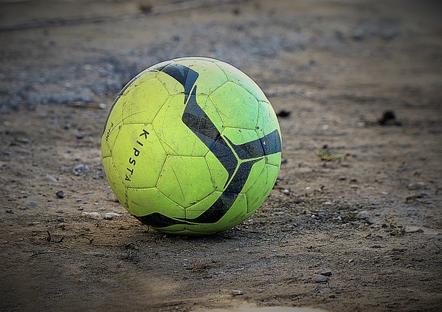 可能展現的 可能展現的