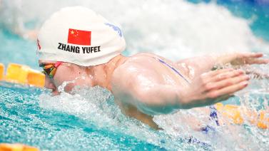 展示了森林 展示了森林